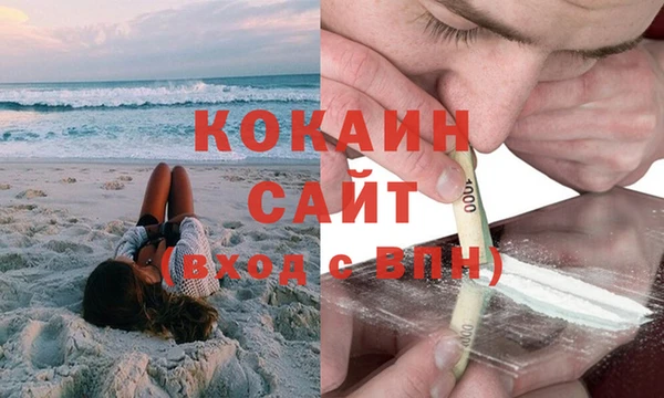 прущие грибы Семикаракорск
