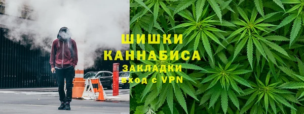 прущие грибы Семикаракорск