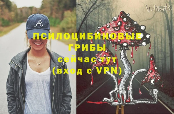 mix Слюдянка