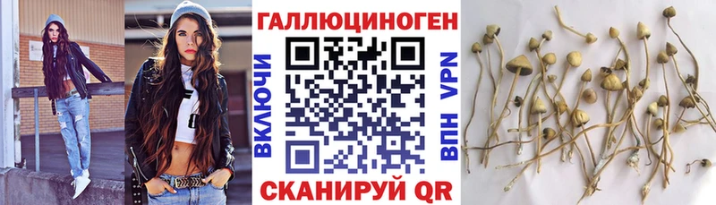 Псилоцибиновые грибы прущие грибы  MEGA ссылки  Батайск 